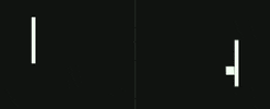 100.gif