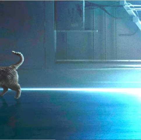 1559822070320.png