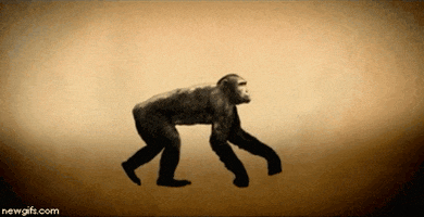 200-3.gif