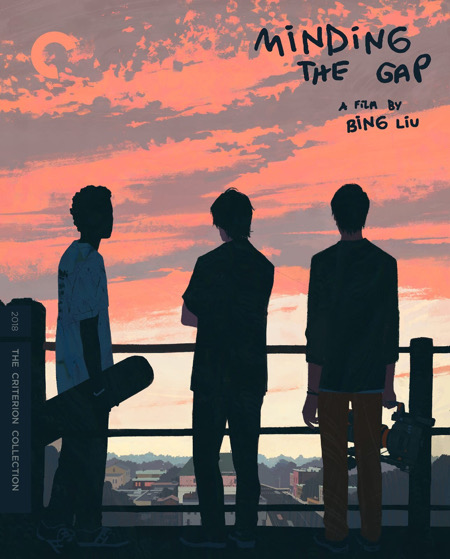 Minding the Gap (Criterion Collection) (Blu ray) [USA ...