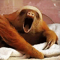 8C33C34E-5562-42DC-8BEF-4DC36365C537.gif