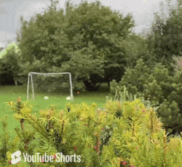 bank-robbery (1).gif