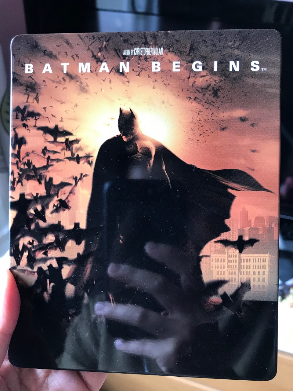 Batman Begins 3.jpg