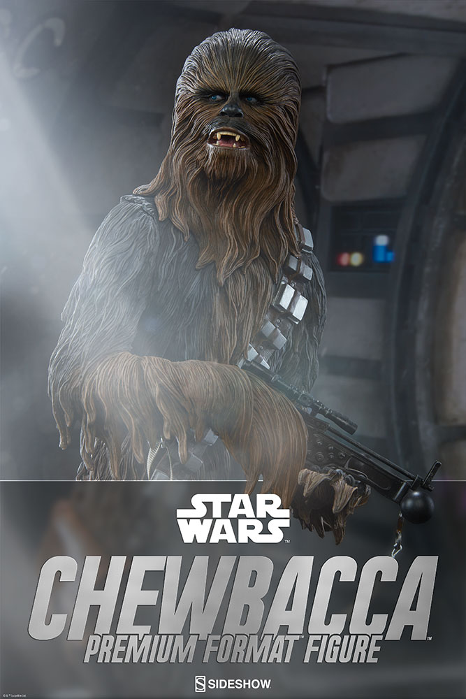 chewbacca-starwars-300527-01.jpg