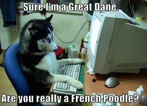 Dog-Having-A-Flirt-Over-The-Internet-Funny-Picture-.jpg