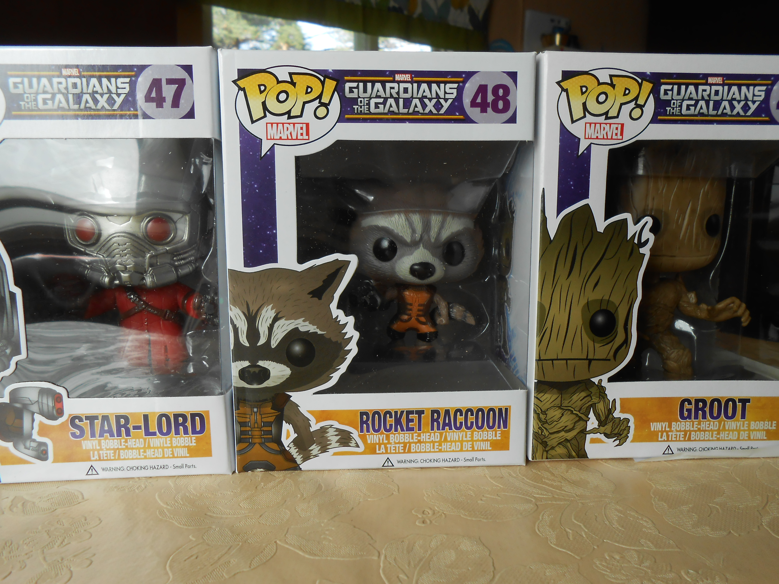 DSCN0833.JPG
