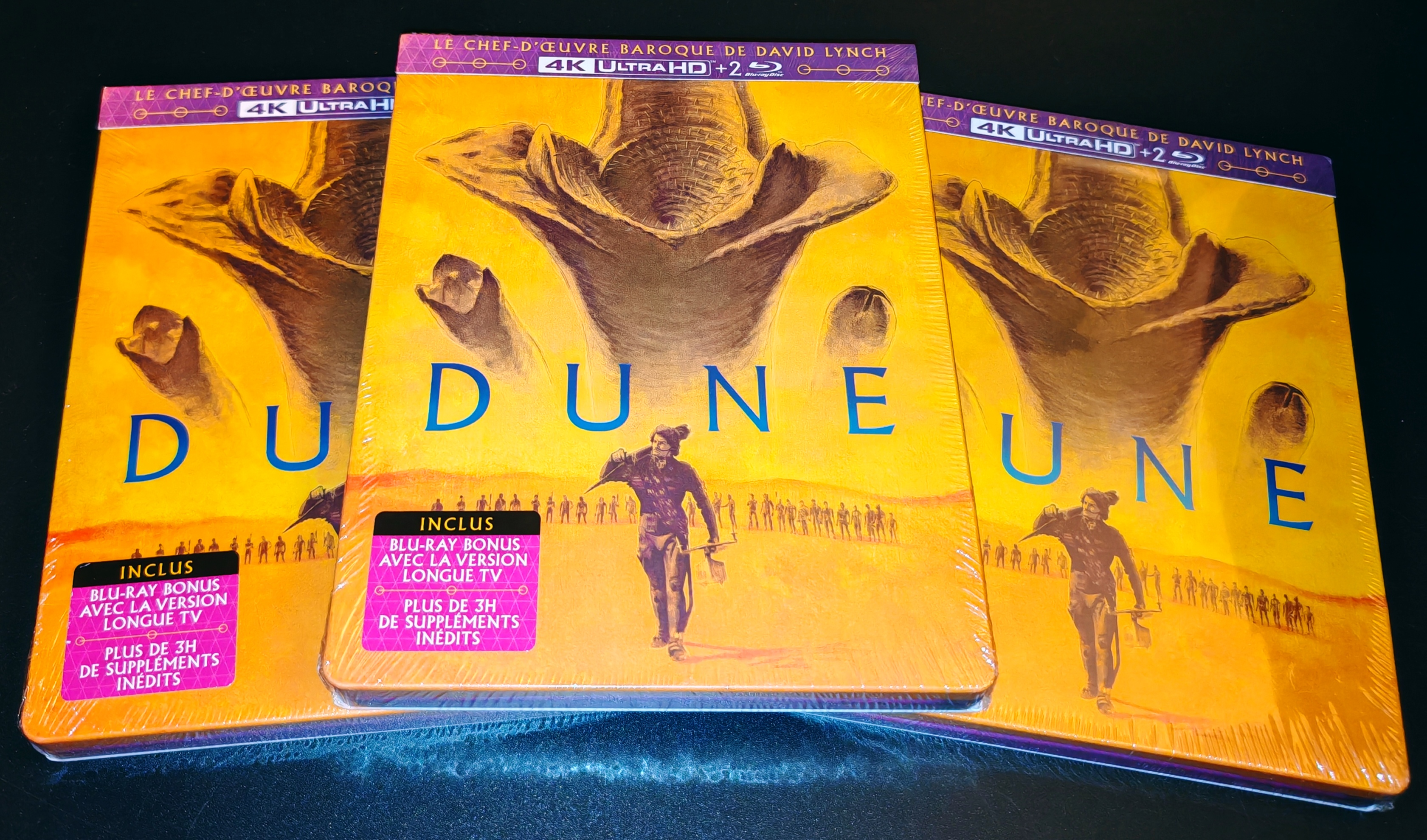Dune1984France.jpg