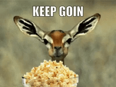EF3CEC44-648B-43B4-8C3F-A410AFE6D6A9.gif