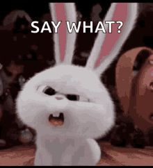 FE2459E0-1B94-43A0-AB79-A060DB30228A.gif