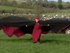 FluidOrganicFulmar-max-1mb.gif
