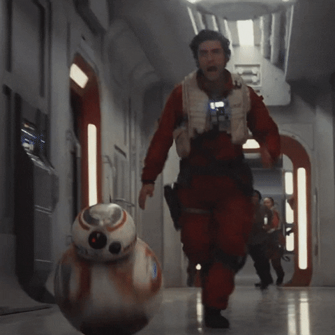 giphy-1.gif