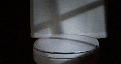 giphy (1).gif