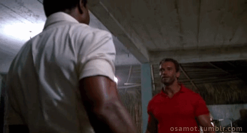 giphy (3).gif