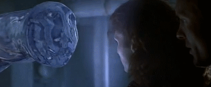 giphy (9).gif