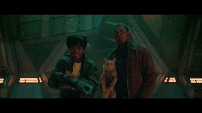 HarmoniousGregariousBarasingha-max-1mb.gif