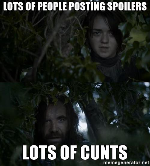 hound arya - spoilers.jpg
