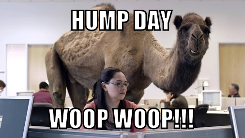 hump day!.png