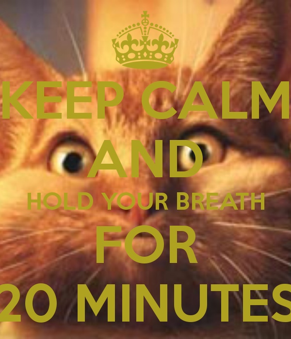ImageUploadedByTapatalk1423330826.341015.jpg