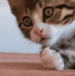 imb_20170930085836.gif