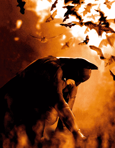 IMG_2989.GIF