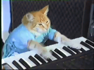 keyboard-cat.gif