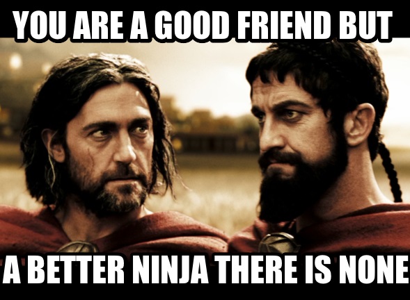 Ninja 300 Friend.jpg