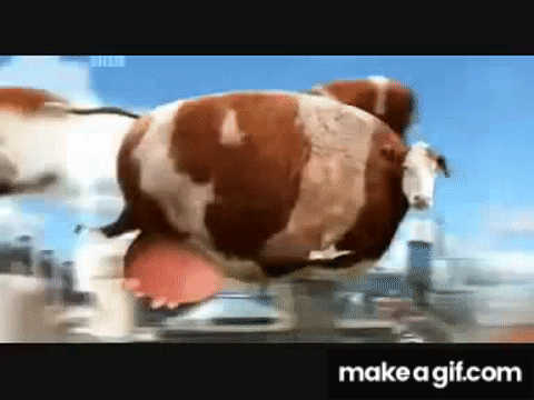 p7Fpkq.gif