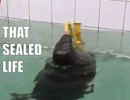 received_460398244655887.gif
