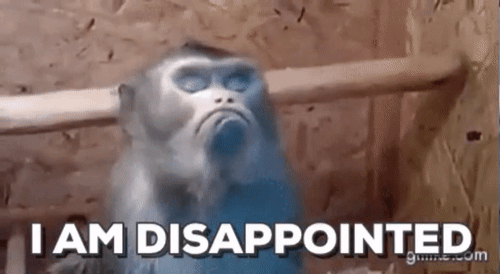 RewardingCandidCockerspaniel-size_restricted.gif