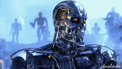 T3.gif