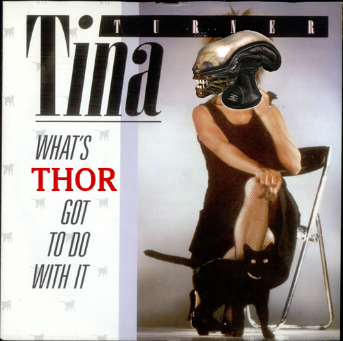tina-turner-whats-love-got-to-do-with-it THOR2.jpg