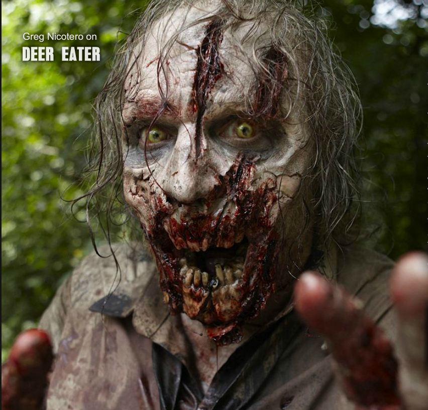 Zonbies-On-Walking-Dead-zombies-32977130-852-815.jpg
