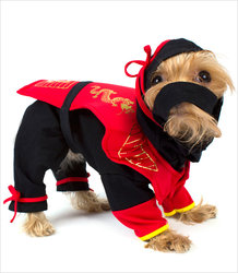 Ninja-Dog-Costume_pu.jpeg