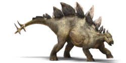Stegosaurus-detail-header.png