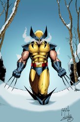 wolverine_on_the_snow_by_swave18-d5h0don.jpg