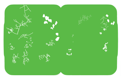 1000086836.png