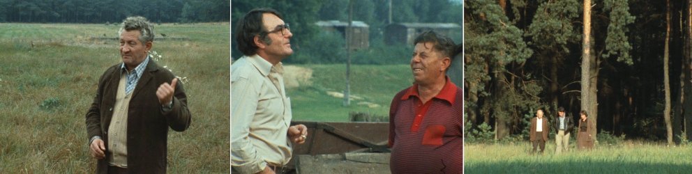 IMG_5140.jpeg