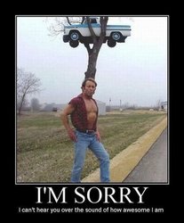 Car-On-Tree-Funny-Image.jpg