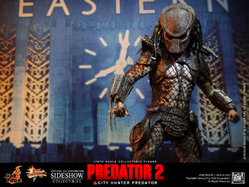 Predator4.jpg