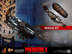Predator6.jpg
