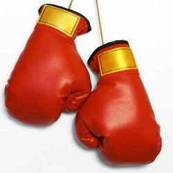 boxing-gloves-400x400.jpg