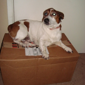 My BOX!