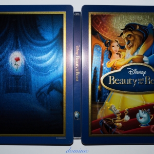 Beauty and the Beast - Outside