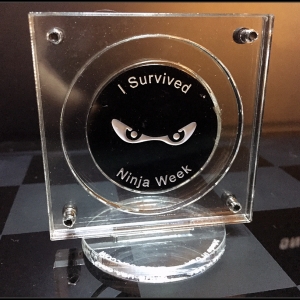 I Survived 2015 - front