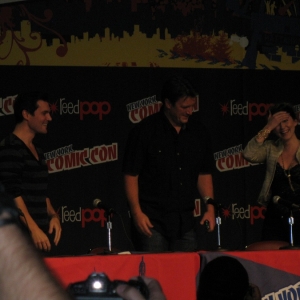 Firefly Panel