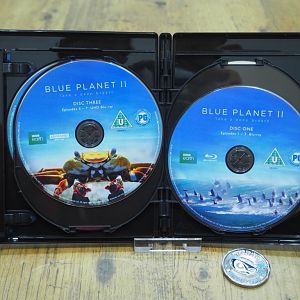 BluePlanetII_4K_discs2