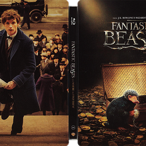 Fantastic Beasts and Where to Find Them (Best Buy).png