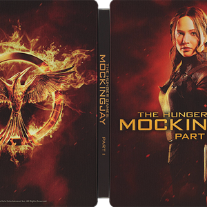 Hunger Games - Mocking Jay 1.png