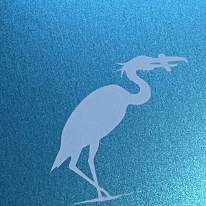 Boy and the Heron_UK_front detail1.jpg