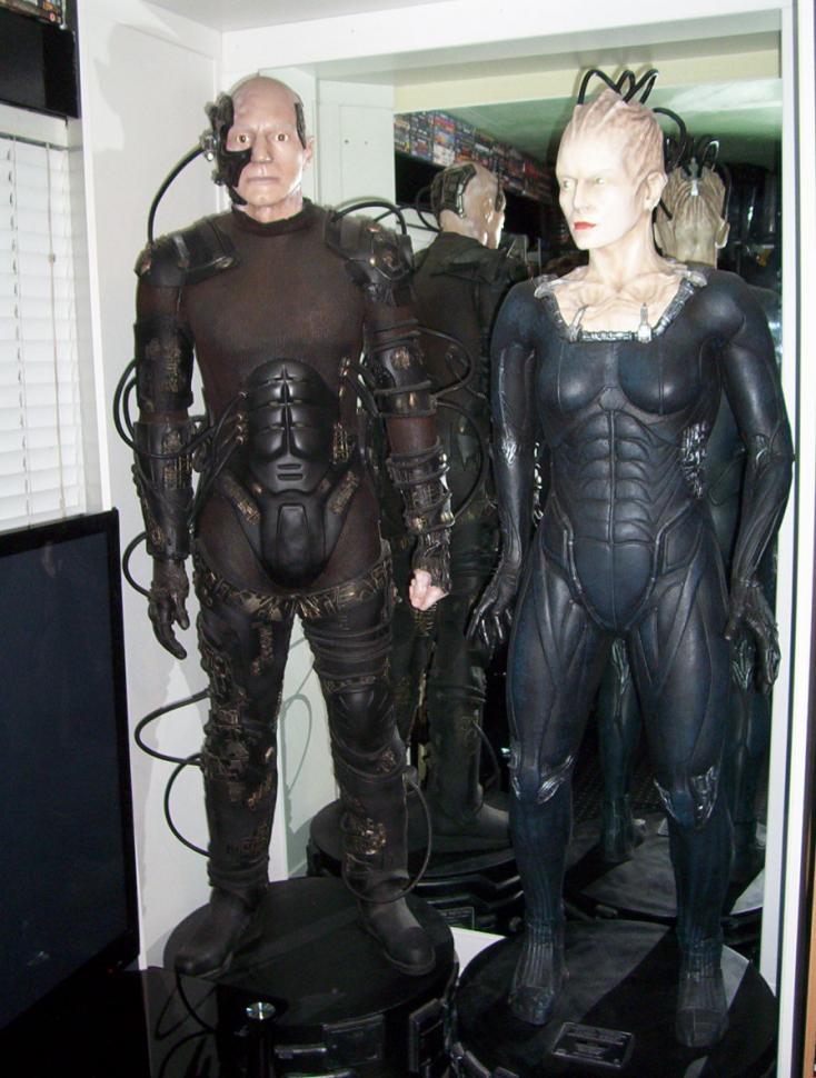 borgfin 001